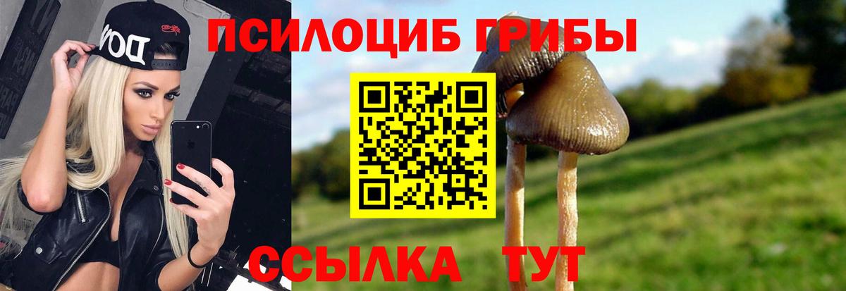 Барабинск  Галлюциногенные грибы Magic Shrooms  Вход с VPN  Псилоцибиновые грибы Psilocybine cubensis 