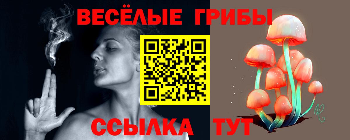 Галлюциногенные грибы Psilocybe Барабинск